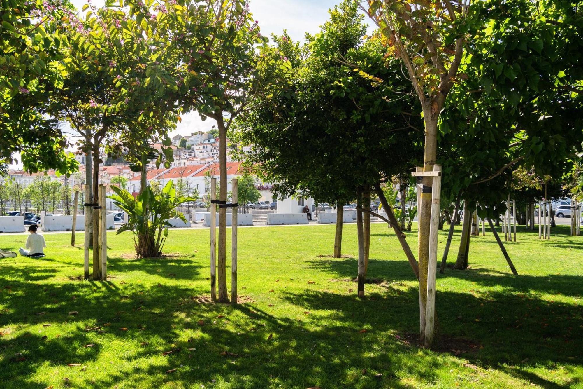 Modern 41br With Art & Tagus River Views Lisboa